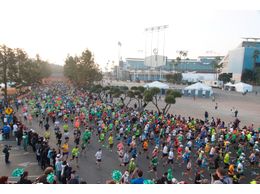 29 LAʥ󥼥륹˥ޥ饽2014ʡThe ASICS LA Marathon 2014ס