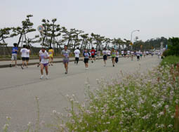 第23回 カーター記念黒部名水ロードレース 富山県 黒部市 黒部市総合公園 スポーツ大会の検索 参加申込みなら スポーツエントリー