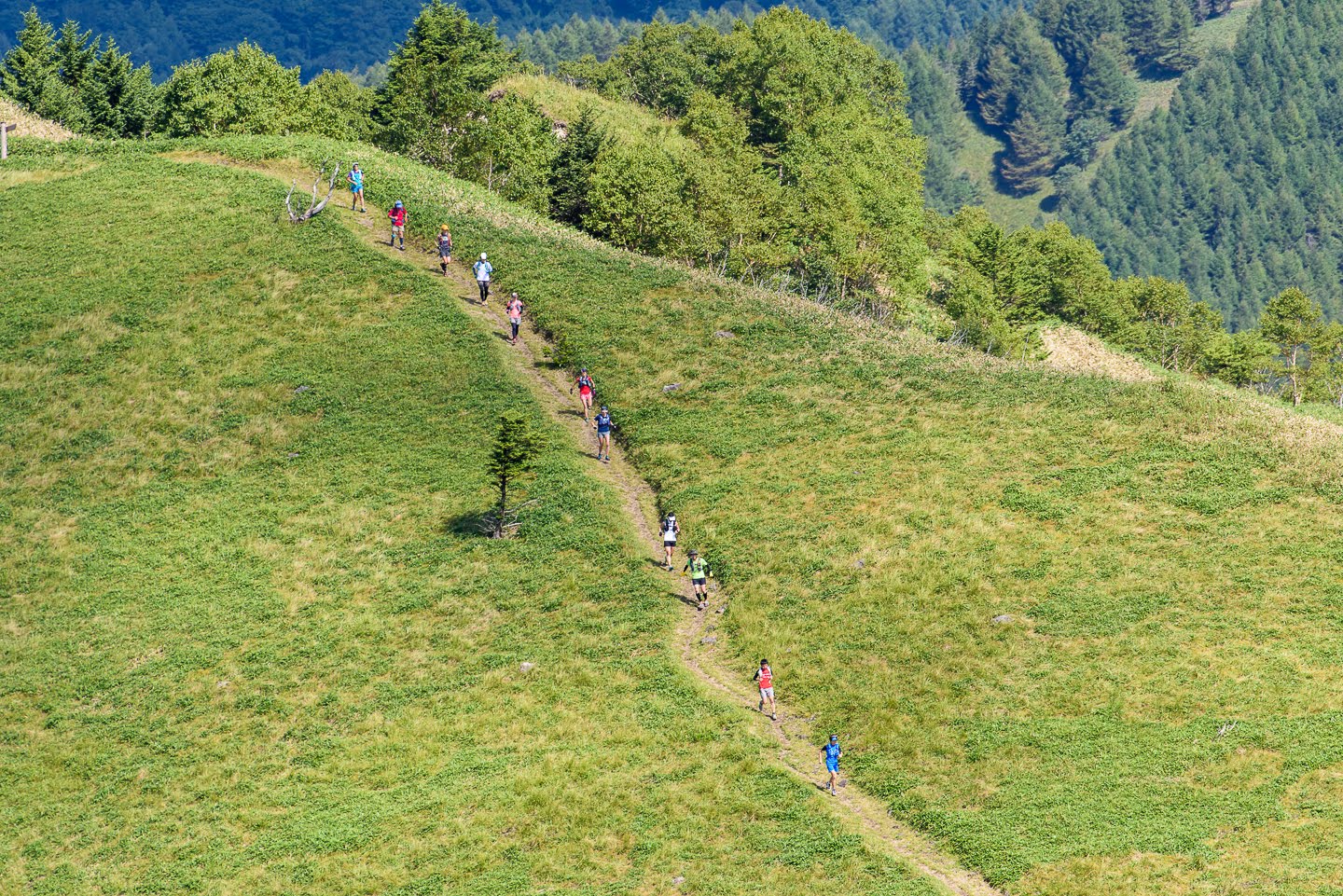 長野県 トレラン 山岳レース クロスカントリー スカイランニングのイベント一覧 スポーツエントリー